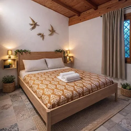 Di Loreto - Uso Esclusivo